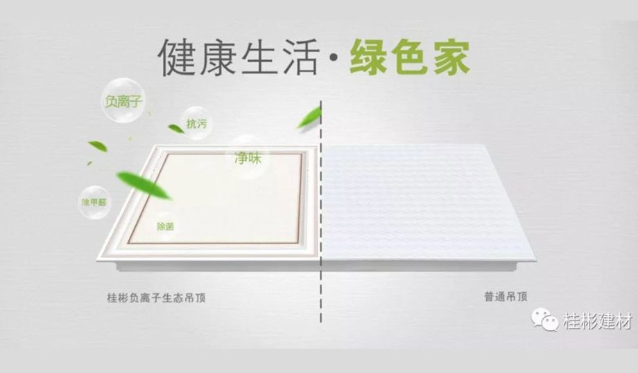 桂彬負(fù)離子生態(tài)吊頂